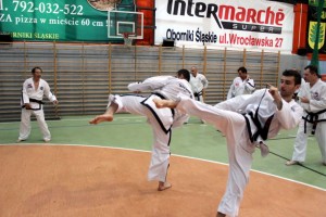 Taekwondo Toruń Działdowo Mława (2)